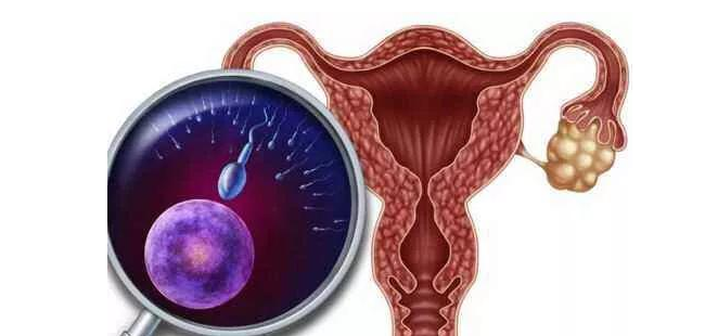恢复期过，如何顺利度过哺乳期，让月经恢复正常？