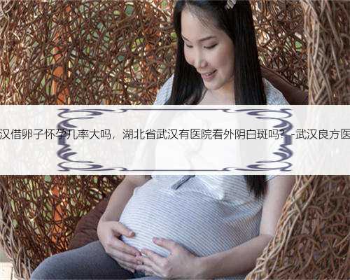 武汉借卵子怀孕几率大吗，湖北省武汉有医院看外阴白斑吗？-武汉良方医院
