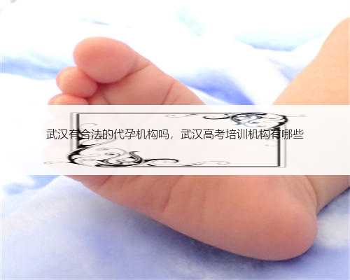 武汉有合法的代孕机构吗，武汉高考培训机构有哪些