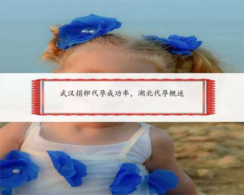 武汉捐卵代孕成功率，湖北代孕概述