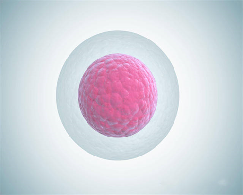 精子和卵子结合有什么反应吗