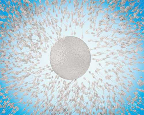 卵子和精子着床相结合前的过程