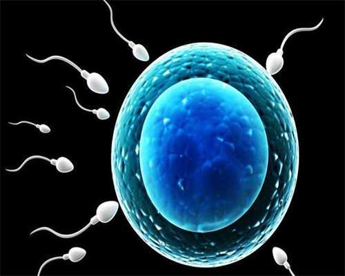 漫画精子是如何与卵子结合的