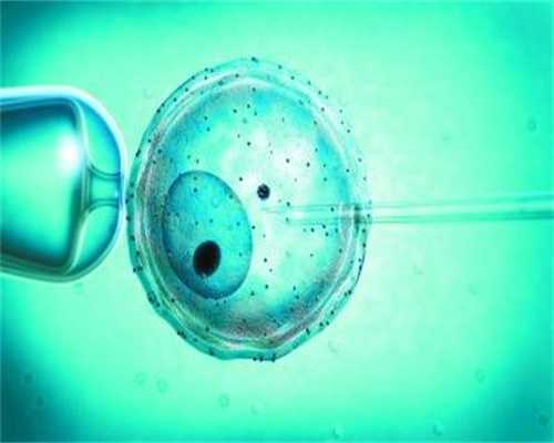 人体显微照片当卵子与精子相遇（组图）