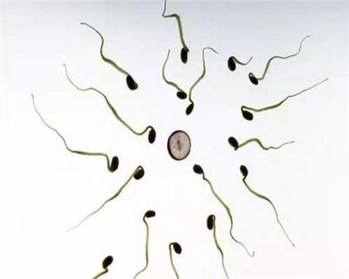 精子要多久才能和卵子结合150