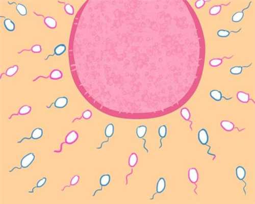 精子要多久才能和卵子结合150