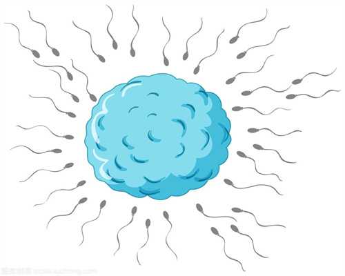 一组来自子宫的照片，精子与卵子的结合竟如此