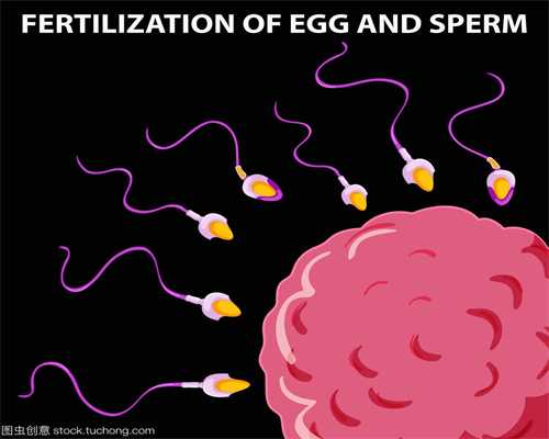 精子先生和卵子小姐生命起源-精子先生和卵子小