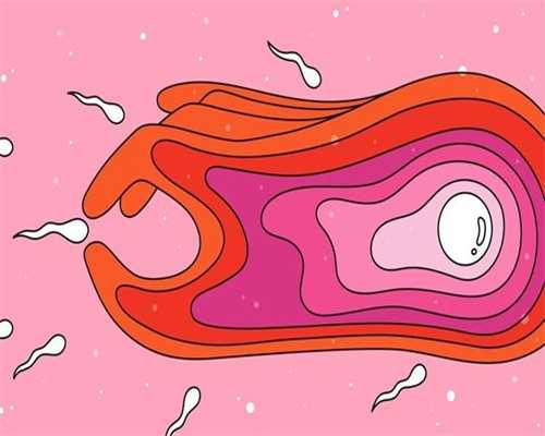 精子进入阴道需几小时能与卵子相遇