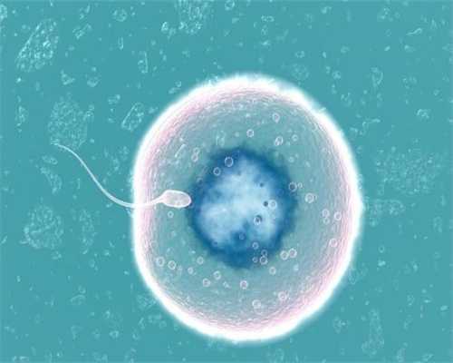 进入女性的体内没有和卵子结合的“精子”去哪