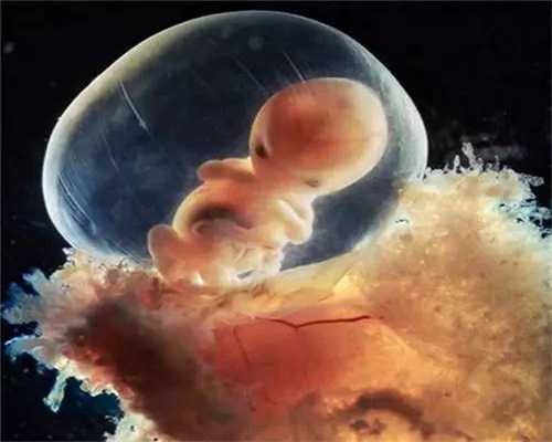 捐卵泡长不大的情况下还可以做代孕吗