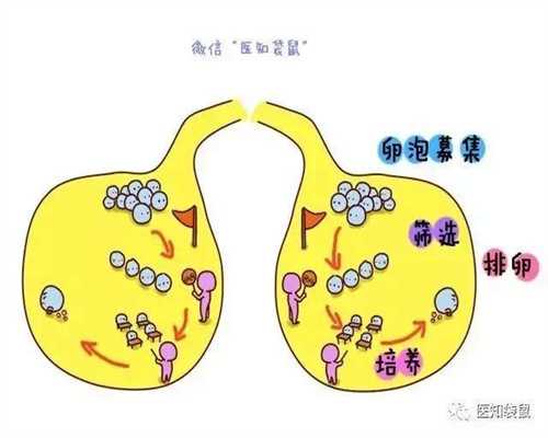 爱心捐卵_注意！广州大学城频现捐卵广告！千万
