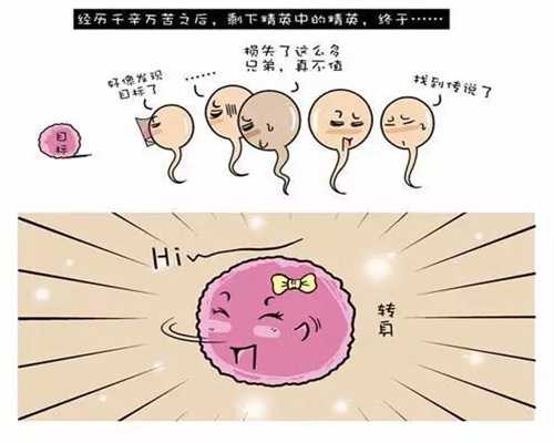 上海捐卵_【妇科科普】为什么不容易怀孕？可能