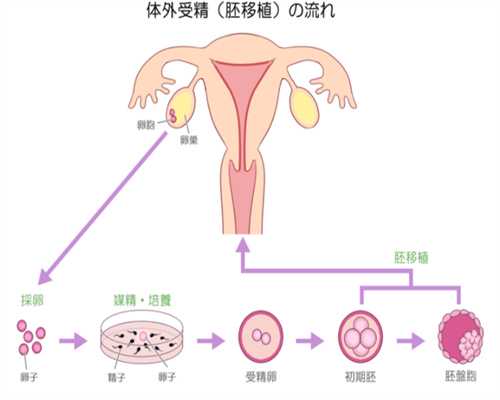 甘肃捐卵的条件,坚持按摩涌泉穴，防治卵巢早衰