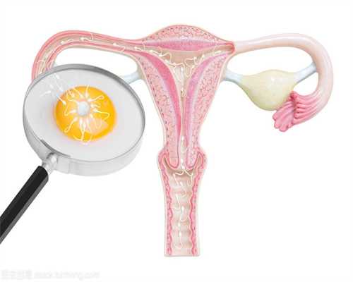 陕西新捐卵,减肥导致女性卵巢早衰的机理！