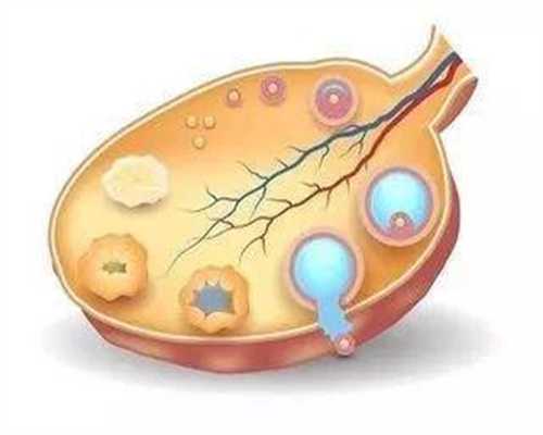 陕西新捐卵,减肥导致女性卵巢早衰的机理！