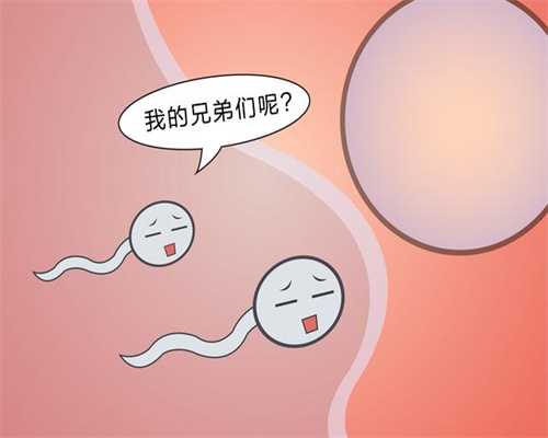 陕西捐卵子,精子质量影响试管婴儿成功率 卵子质