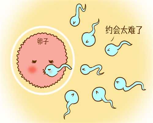 昆明中国捐卵价格，怎么保养子宫和卵巢