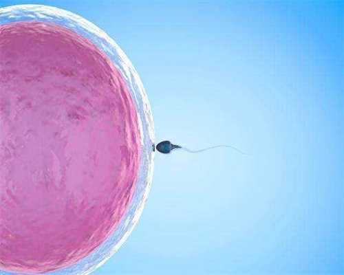 韩国捐卵的费用，多囊卵巢促排卵的过程