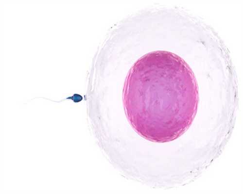 福康捐卵中心，卵巢囊肿影响做人流吗
