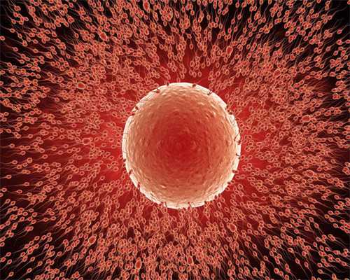 合肥自贡捐卵，患了多囊卵巢怎么引起