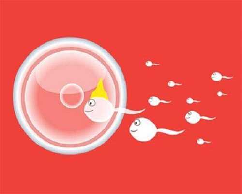 深圳捐卵哪里捐，月经量少和卵泡有关系吗