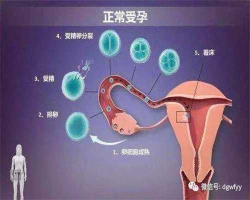 重庆有捐卵的吗,借卵试管婴儿新方法 