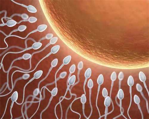 安徽我要捐卵,女性不孕九成与卵巢有关 四原因导致卵巢性不孕 
