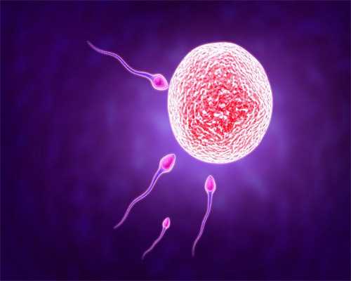 安徽我要捐卵,女性不孕九成与卵巢有关 四原因导致卵巢性不孕 