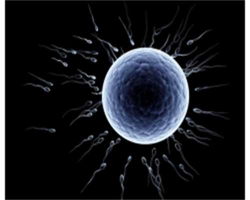 长春本地捐卵，不孕与卵巢早衰常有发生!女性不排卵常具这5大危害