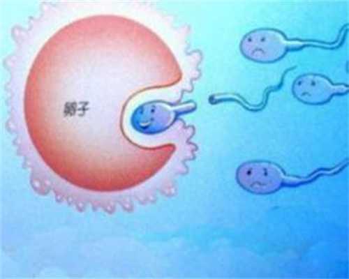 渭南捐卵中心，二胎供卵试管婴儿精子质量差能规复吗,除希维力外能够这些能