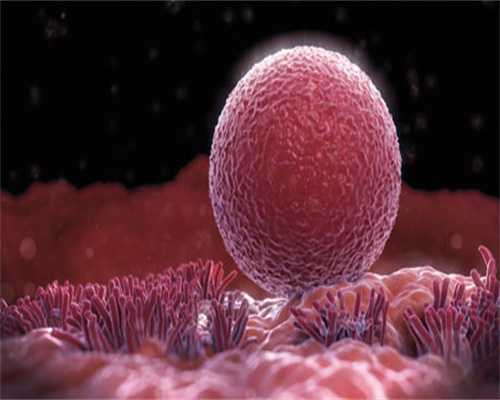 广东义务捐卵-卵细胞浆内单精子注射注意事项有哪些呢？_1