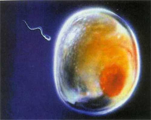 湛江正规捐卵公司，保护卵巢功能的小窍门？