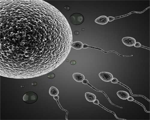 十堰有偿捐卵群_卵巢早衰赴美IVF助孕,3个建议助你提高胚胎着床率