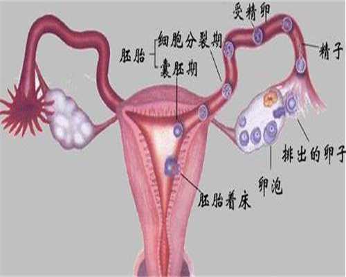 惠州招捐卵~试管科普：我患有多囊卵巢综合征，还能怀孕吗？_1