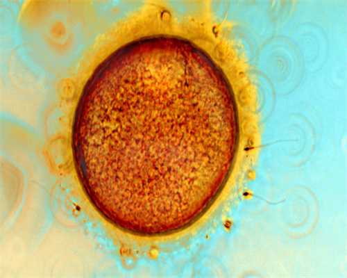 昆明捐卵哪里捐,只有一个卵输卵管炎要如何预防呢？武汉卵巢早衰供卵助孕试