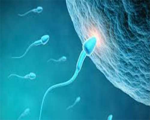 银川安全捐卵，泰国试管婴儿取卵之前，如何科学调理卵巢？