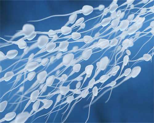 成都正规卖卵子多少钱一颗,韩国试管婴儿卵胞浆内单精子注射过程_1
