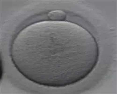 洛阳医院捐卵~DHEA对女性卵子有什么提高作用？_1