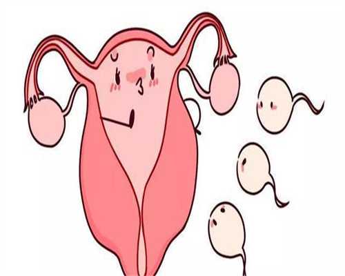 江苏公益捐卵-多囊卵巢可以做试管吗？成功率如何？_1