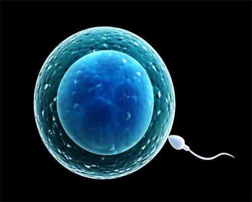 苏州捐卵试管群~妈妈自述：闭经、内膜0.4、卵泡长得慢、输卵管伞端粘连_1