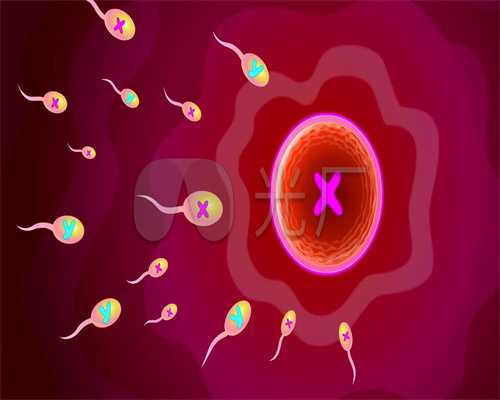 武汉卵巢早衰供卵试管婴儿，科研引领、医防融合、聚力基层，CDS2018在江苏苏