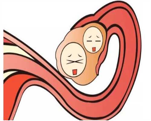 武汉借卵子成功率，免疫性不育引发男性不育的原因