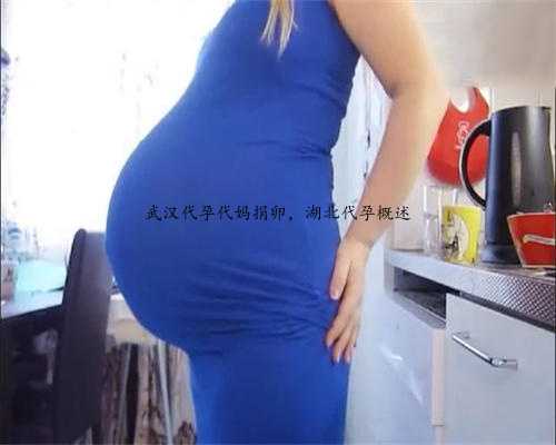 武汉代孕代妈捐卵，湖北代孕概述